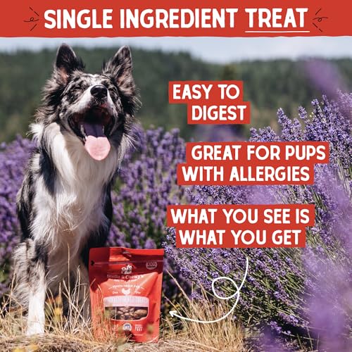 Stella & Chewy's Freeze-Dried Raw Chicken Heart Dog Treats - Single Ingredient, No Additives - Premium Training Treats - Perfect For Picky Eaters