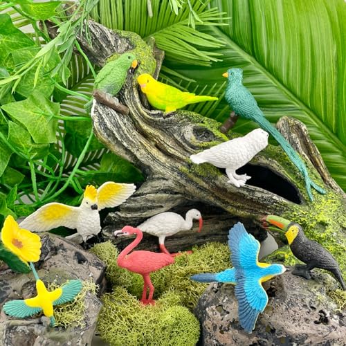 Safari Ltd. Exotic Birds TOOB - 10 Figurines: Parakeet, Quetzal, Macaw, Hummingbird, Toucan, Cockatoo, Flamingo, Snowy Owl, Parrot - Educational Toy