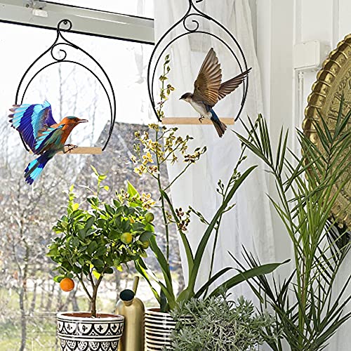 winemana Set of 3 Hummingbird Swings, Rust Resistant Metal Frame, Wooden Dowel, Attach to Bird Feeders, Perfect for Hanging Indoor Office Outdoor