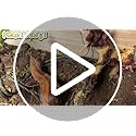 Hamiledyi Aquarium Driftwood 3PCS Natural Trunk Driftwood Assorted Branches 8-12" Reptile Wood Decor Terrarium Ornament Fish Tank Decoration