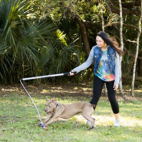 Squishy Face Studio Flirt Pole V2 with Lure - Durable Dog Toy for Fun Obedience Training & Exercise, Purple/Blue Tie Dye, Regular - 36 inch for All