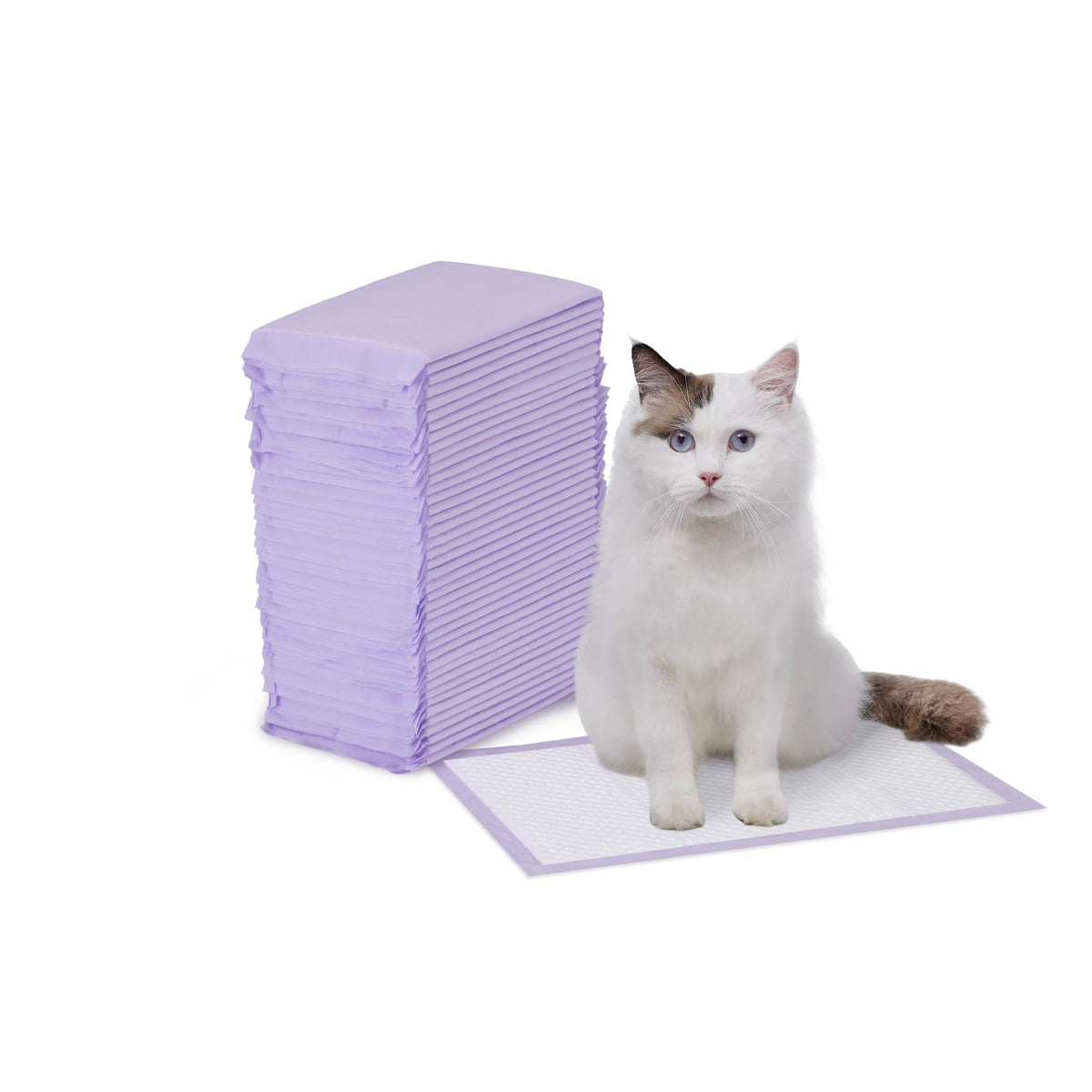 Basics Cat Litter Pee Pads, Odor Control with Fresh Scent, Super Absorbent, Disposable, Universal Fit Litter Box, Purple and White, 40 Count