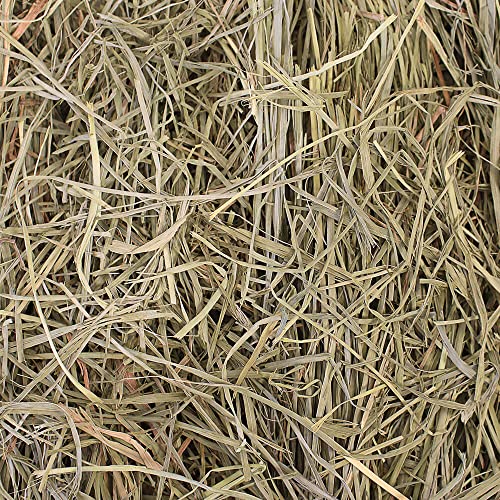 Grandpa's Best Premium Orchard Grass Hay for Rabbits, Guinea Pigs, Chinchillas, Hamsters & Gerbils, 20lb Loose Boxed, Brown