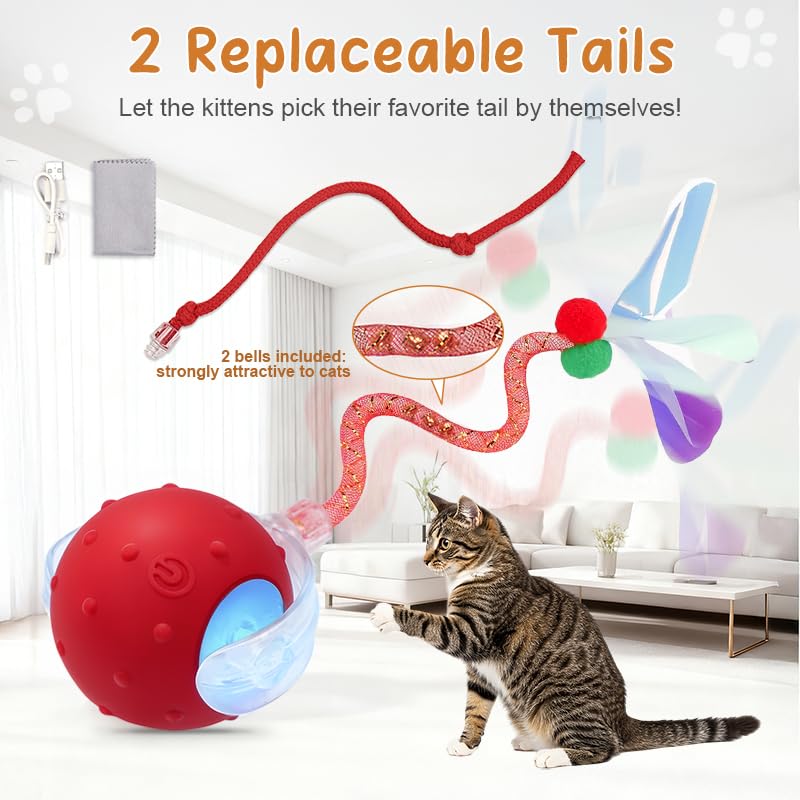 Interactive Cat Ball Toy, Chirping Motion Activated Electric Rechargeable Cat Toy with 2 Replaceable Tails, Self Play Hunting Rolling Indoor Cat Toys