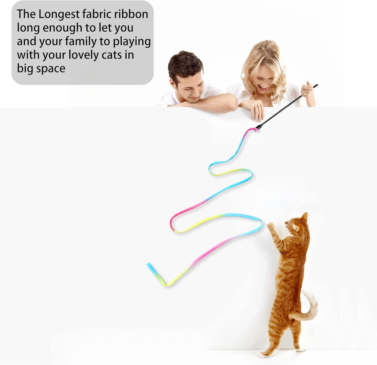 Cat Wand Toys Interactive Kitten Toys for Indoor Cats Colorful Teaser Wand String for Exercise Kitten Stick Kitty Rope Toy Rainbow Ribbon Cat Charmer
