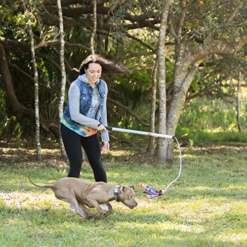 Squishy Face Studio Flirt Pole V2 with Lure - Durable Dog Toy for Fun Obedience Training & Exercise, Purple/Blue Tie Dye, Regular - 36 inch for All