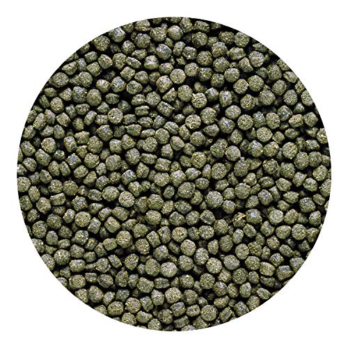 Hikari 12-Ounce Cichlid Excel Sinking Pellets for Pets, Mini