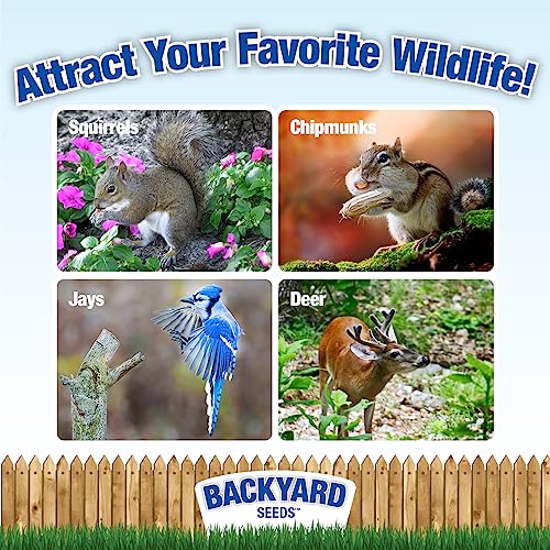 CountryMax Backyard Seeds Squirrel & Chipmunk Food Mix – 8 lb Bag – Premium Wildlife Blend with Sunflower Seeds, Peanuts & Corn – Ideal for