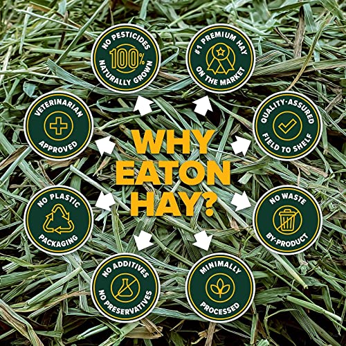 Eaton Pet and Pasture Naturally Grown, Premium, 1st Cut Blend, Western Timothy Hay Orchard Blend, Small Animal Food, Sustainable, Eco-Friendly