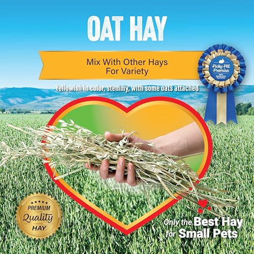 Small Pet Select Oat Hay Pet Food, 2 Lb.