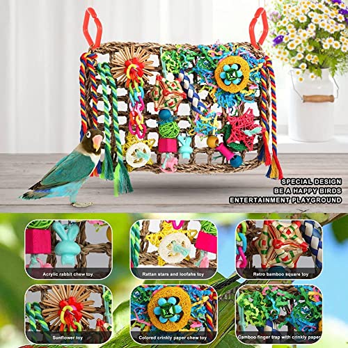 Foraging Toys for Parakeets Cockatiel Conures Lovebirds - Seagrass Wall with Various Bird Toys