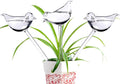Glass Plant Watering Globes, Self Watering Globes Bird Shape, Self Watering Planter Insert, Plant Watering Devices, Automatic Plant Waterer Indoor