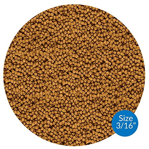 API POND FISH FOOD Pond Fish Food 2.68-Pound Bag