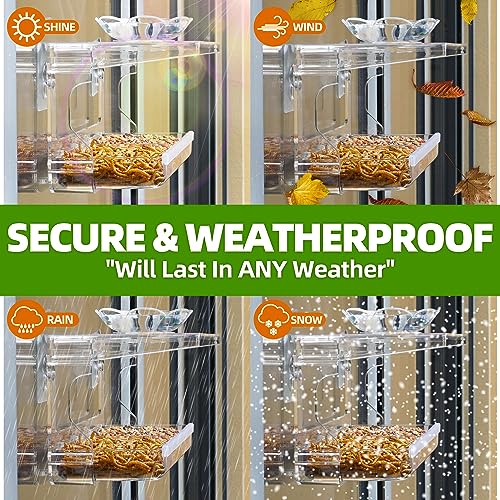 Window Bird Feeder with Non-Marking Self-Adhesive Hooks, Clear and Transparent, Outdoor Wild Bird Watching Gift, Garden Decor (Standard)
