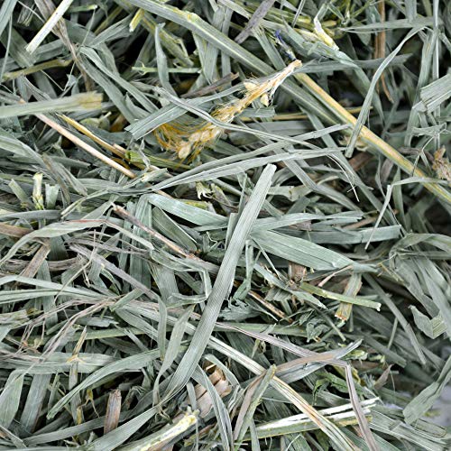 Oxbow Organic Meadow Hay, Guinea Pig & Rabbit Hay, Small Pet Bunny Supplies, All Natural Grass for Guinea Pig, Bunny, Chinchilla & Hamster, Rabbit