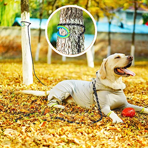NTR 30 FT Dog Leash, Obedience Recall Training Agility Lead, with 2 Swivel Hooks, Reflective Threads and Soft Handle, Puppy Leash for Walking