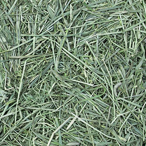 Eaton Pet and Pasture Naturally Grown, Premium, 1st Cut Blend, Western Timothy Hay Orchard Blend, Small Animal Food, Sustainable, Eco-Friendly