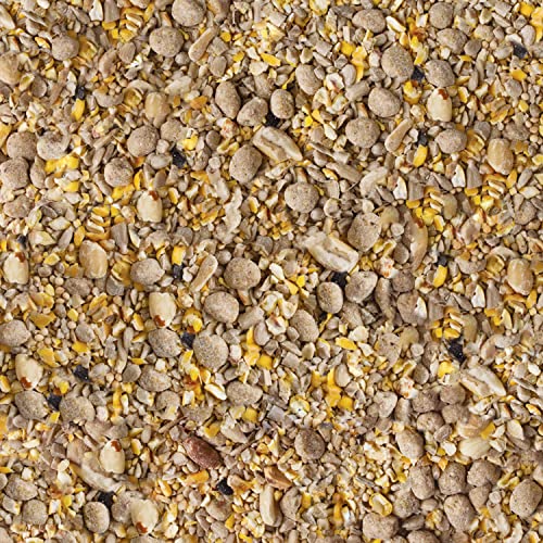 Kaytee Seed & Suet No Mess Peanut 10 Pounds