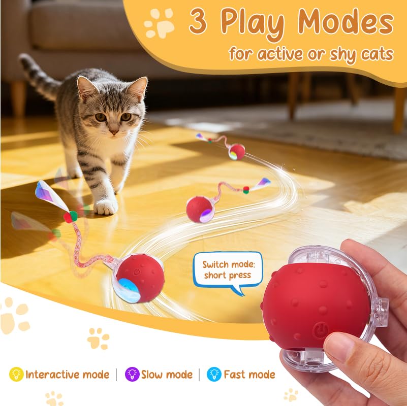 Interactive Cat Ball Toy, Chirping Motion Activated Electric Rechargeable Cat Toy with 2 Replaceable Tails, Self Play Hunting Rolling Indoor Cat Toys