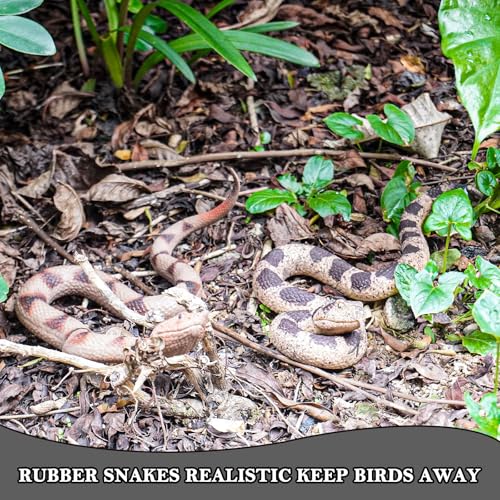 Gelabur 2Pcs Fake Snakes Prank, Soft Rubber Snake Realistic Keep Birds Away, Fake Snakes Toy - Life-Like Snake Figurine for Pranks, Halloween