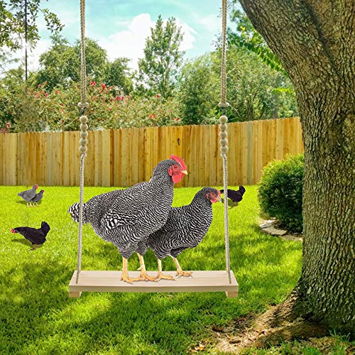 Swing Toys Xylophone, 2pcs Chicken Toys for Poultry Run, Rooster Hens Chicks Pet Parrots Macaw Entertainment, Stress Relief for Birds