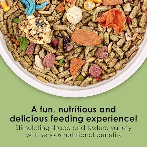 Kaytee Fiesta Guinea Pig Food, Nutritious and Fun Blend, Supports Dental Health and Digestion, 4.5 pounds