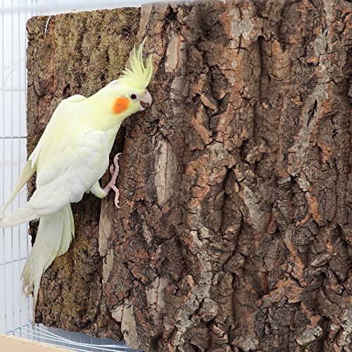 2 Pack 12 x 8 Inch 100% Natural Cork Perch, Bird Cork Seat Boards, Birdcage Bark Decor Accessories for Birds Parakeets Budgie Parrot Cockatiel