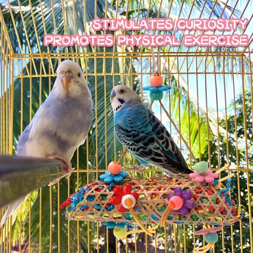 RLRICH 6 Pack Bird Colorful Chewing Toys Parrot Foraging Shredder Toys Shred Hanging Foraging Toys,Comfy Perch Parakeet Toys for Rope Bungee Bird Toy
