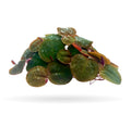 Aquarigram 60+ Leaves Red Root Floaters Live Floating Plants for Aquarium (Phyllanthus Fluitans)…