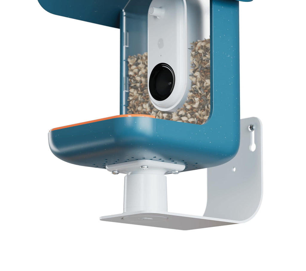 Birdbuddy Wall Mount - Versatile Bird Feeder Wall Mount for Wall & Fences - Durable, Weather-Proof Heavy Duty and Secure & Stylish Outdoor Feeder