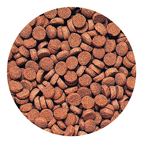 Hikari Sinking Carnivore Pellets for Pets, 2.61-Ounce