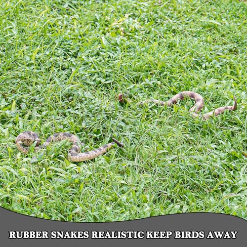Gelabur 2Pcs Fake Snakes Prank, Soft Rubber Snake Realistic Keep Birds Away, Fake Snakes Toy - Life-Like Snake Figurine for Pranks, Halloween