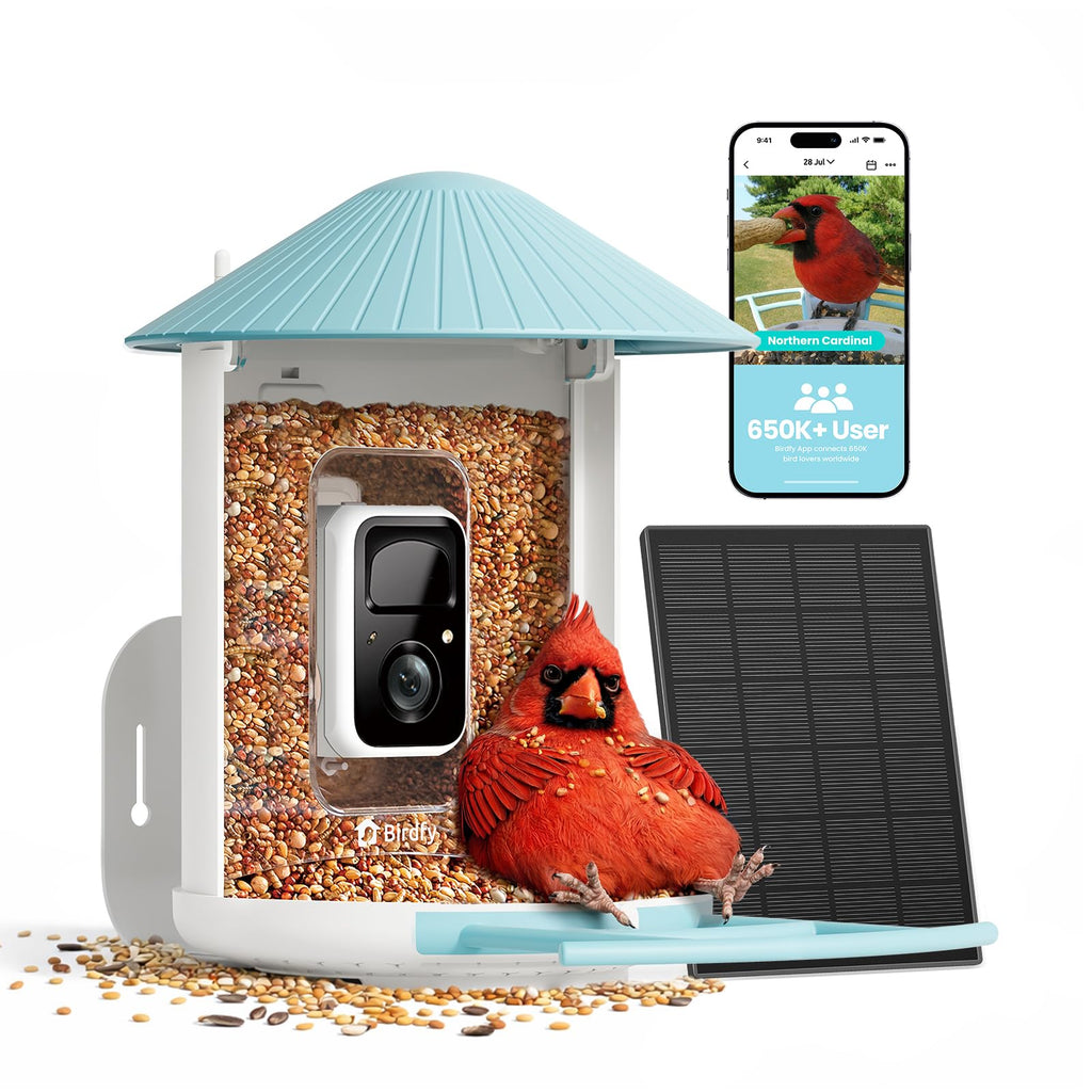 NETVUE by Birdfy Smart Bird Feeder with 2K HD AI Camera Solar Powered, Wireless Wildbird Watching, Live Stream&Color Night Vision, Auto-Capture