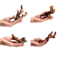 YZHZOM Small Natural Driftwood for Aquarium Styling Carefully Selected Natural Aquarium Decor Driftwood for Reptile Tank Reptile Tank Wood Decor