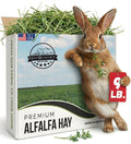 9lb Farm Fresh Alfalfa Hay for Rabbits, Guinea Pigs, Chinchillas, Goats, Hamsters & Ferrets - Organic Small Animal Food Rich in Protein & Fiber