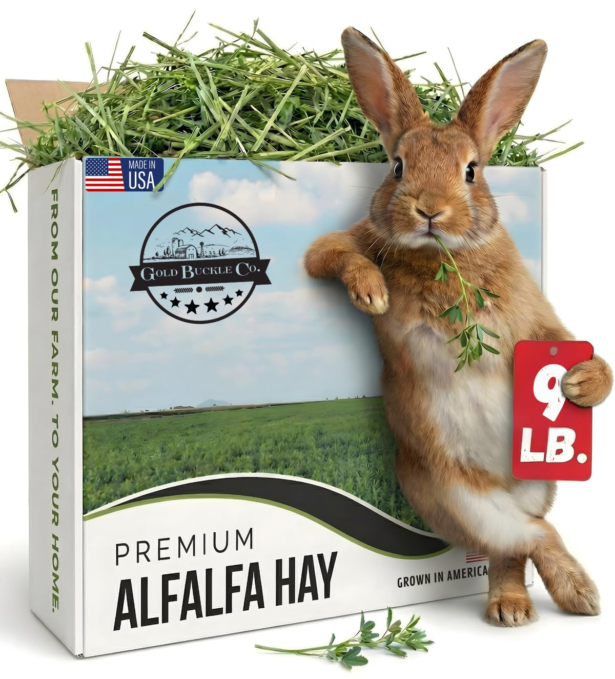 9lb Farm Fresh Alfalfa Hay for Rabbits, Guinea Pigs, Chinchillas, Goats, Hamsters & Ferrets - Organic Small Animal Food Rich in Protein & Fiber