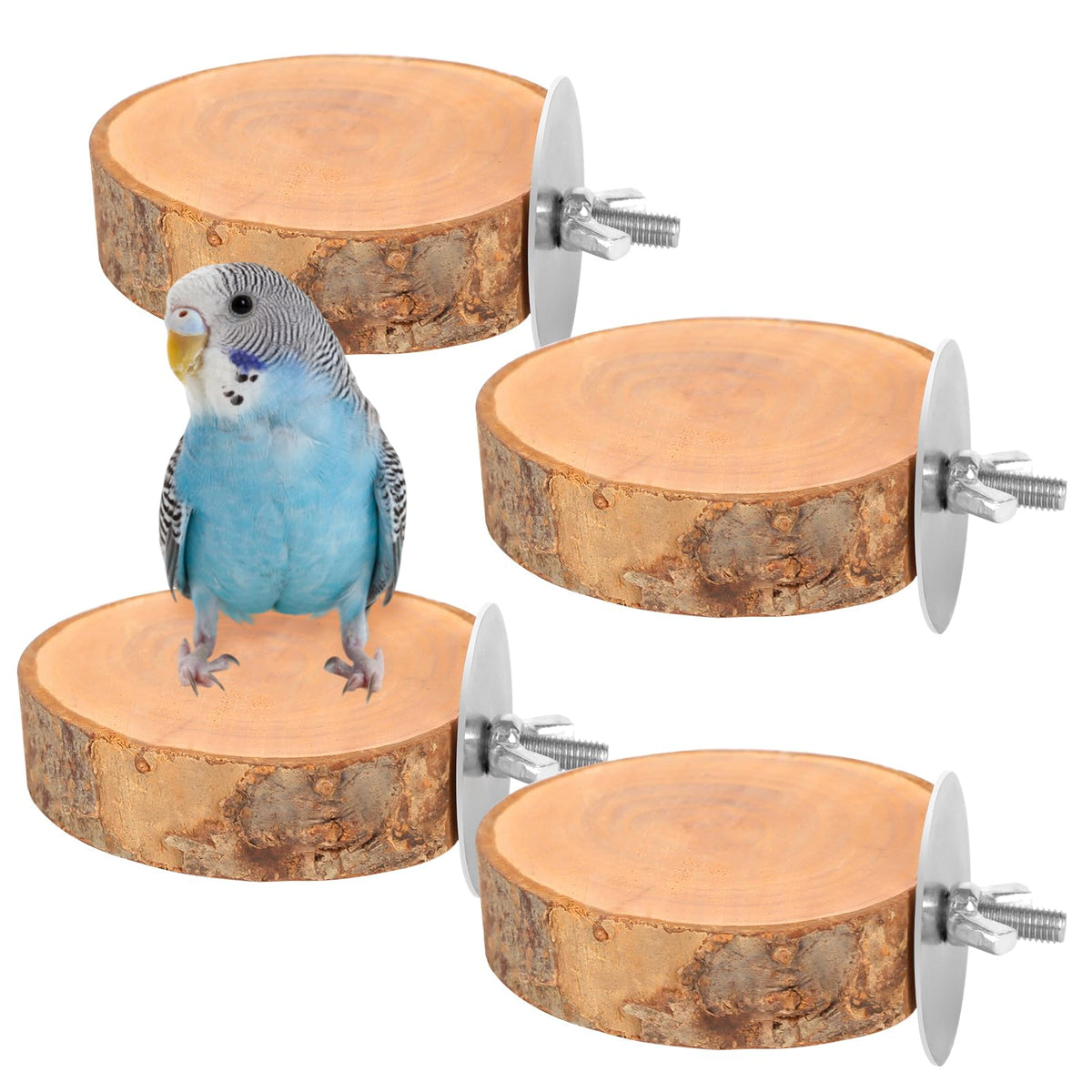 4PCS Natural Wood Round Bird Perch Platform for Cage - Parrot Perch Stand for Conures, Cockatiels, Budgies, Lovebirds, Parrotlets, Small Bird Cage