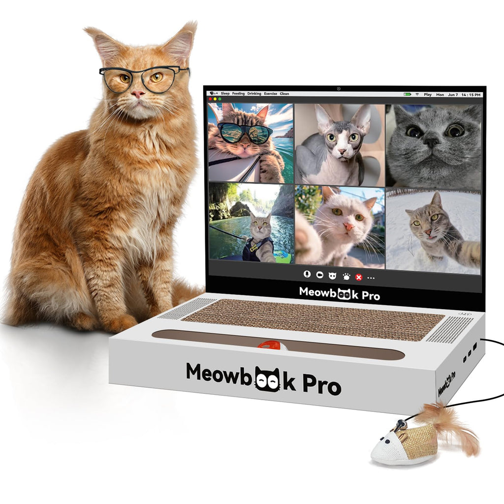 Cat Scratcher Laptop Cat Toy with 'Mouse' Jingle Ball, Stickers, 3-in-1 Cardboard Cat Interactive Toy, Kitten Cardboard Scratching Pad