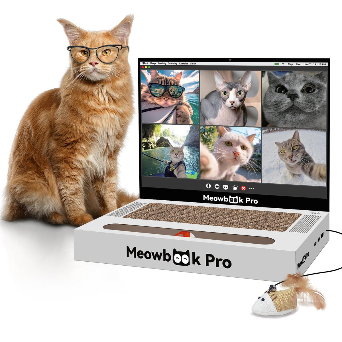 Cat Scratcher Laptop Cat Toy with 'Mouse' Jingle Ball, Stickers, 3-in-1 Cardboard Cat Interactive Toy, Kitten Cardboard Scratching Pad