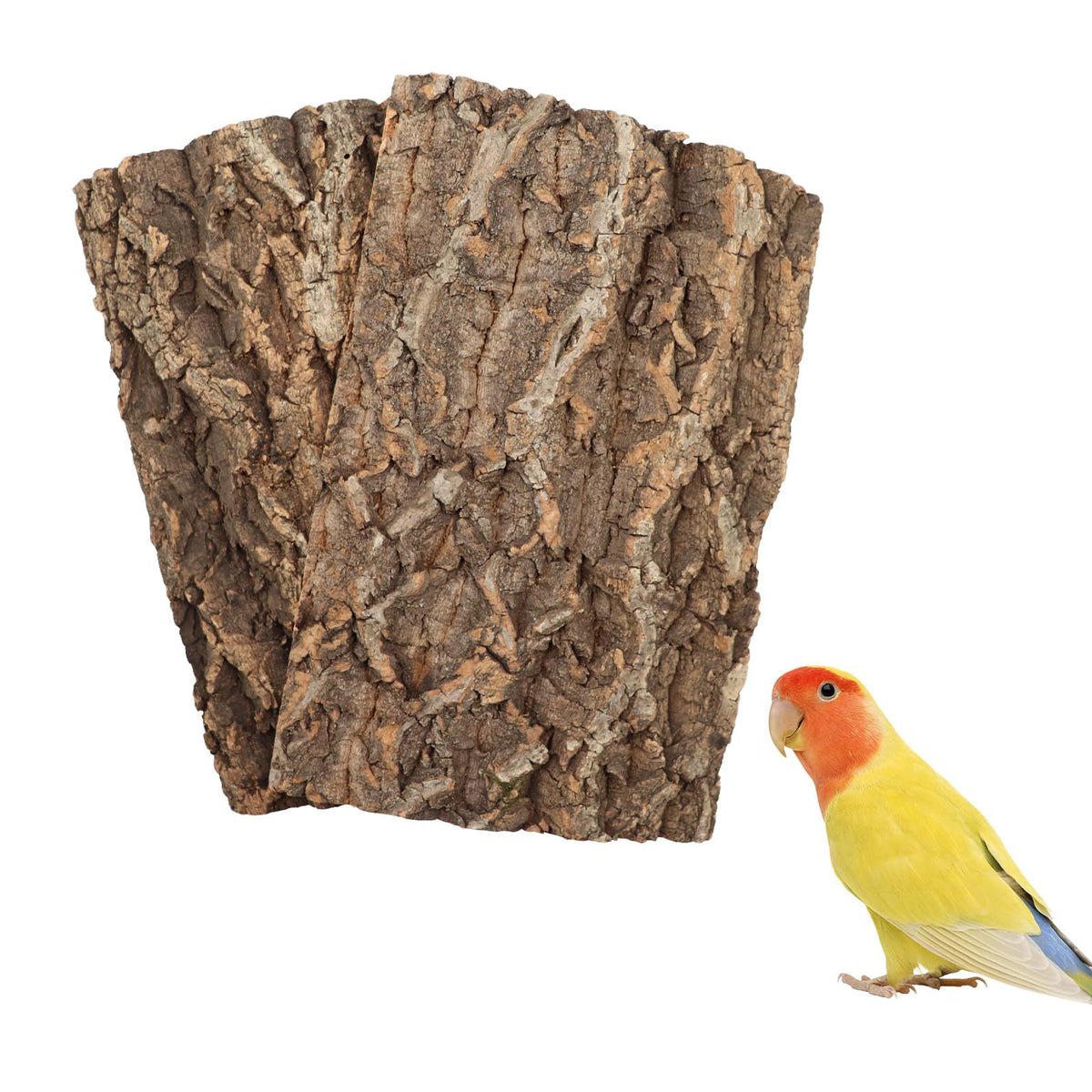2 Pack 12 x 8 Inch 100% Natural Cork Perch, Bird Cork Seat Boards, Birdcage Bark Decor Accessories for Birds Parakeets Budgie Parrot Cockatiel