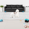 Interactive Cat Toy for Indoor Cats, Auto/Remote Control DIY Cat Mouse Hunting Treadmill Keep Bored Kitten Puppy Entertained to Chase, Feather Toy to