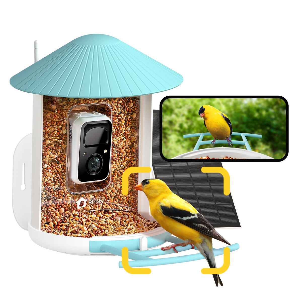 NETVUE by Birdfy Smart Bird Feeder with Camera – AI Identifies Birds Species 2MP Night Vision & App Alerts, 2.4Ghz Wi-Fi Connect IP65 Weatherproof