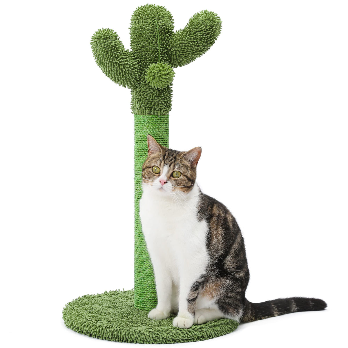 Made4Pets Cat Scratching Post, 25.6" Cactus Cat Scratcher Kitten Scratch Post with Sisal Rope for Indoor Cats Claw Scratcher, Vertical Green Cat Tree