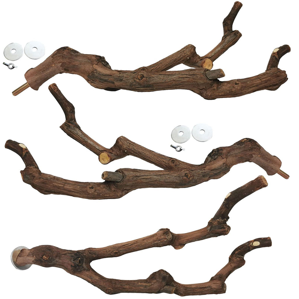 kathson Natural Parrot Perch Bird Stand Pole Wild Grape Stick Paw Grinding Fork Parakeet Climbing Standing Branches Toy Chewable Cage Accessories for