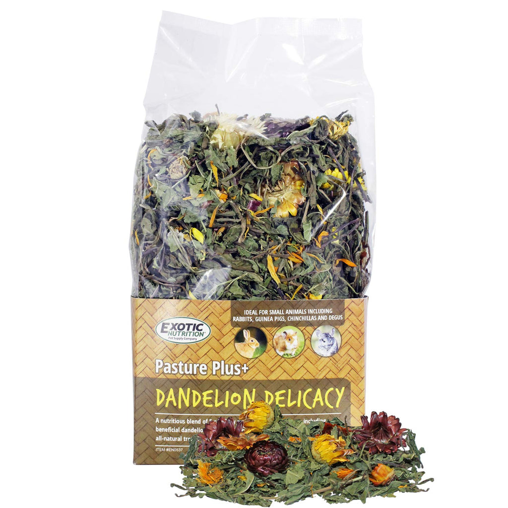 Exotic Nutrition Pasture Plus+ Dandelion Delicacy - Healthy Natural High-Fiber Dried Flower Treat - Guinea Pigs, Rabbits, Chinchillas, Prairie Dogs