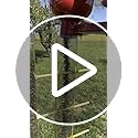 Bird Seed Scoop, Quick Release Plastic Scoop for Ease in Filling Bird Feeders, Holds 4 Cups of Seed