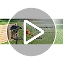 Complete Bird Feeder Accessory Kit DIY Add-Ons Including Mini Hummingbird Feeder, 2 Fruit Holders, Jelly Feeder, Compatible with Kiwibit Smart Bird