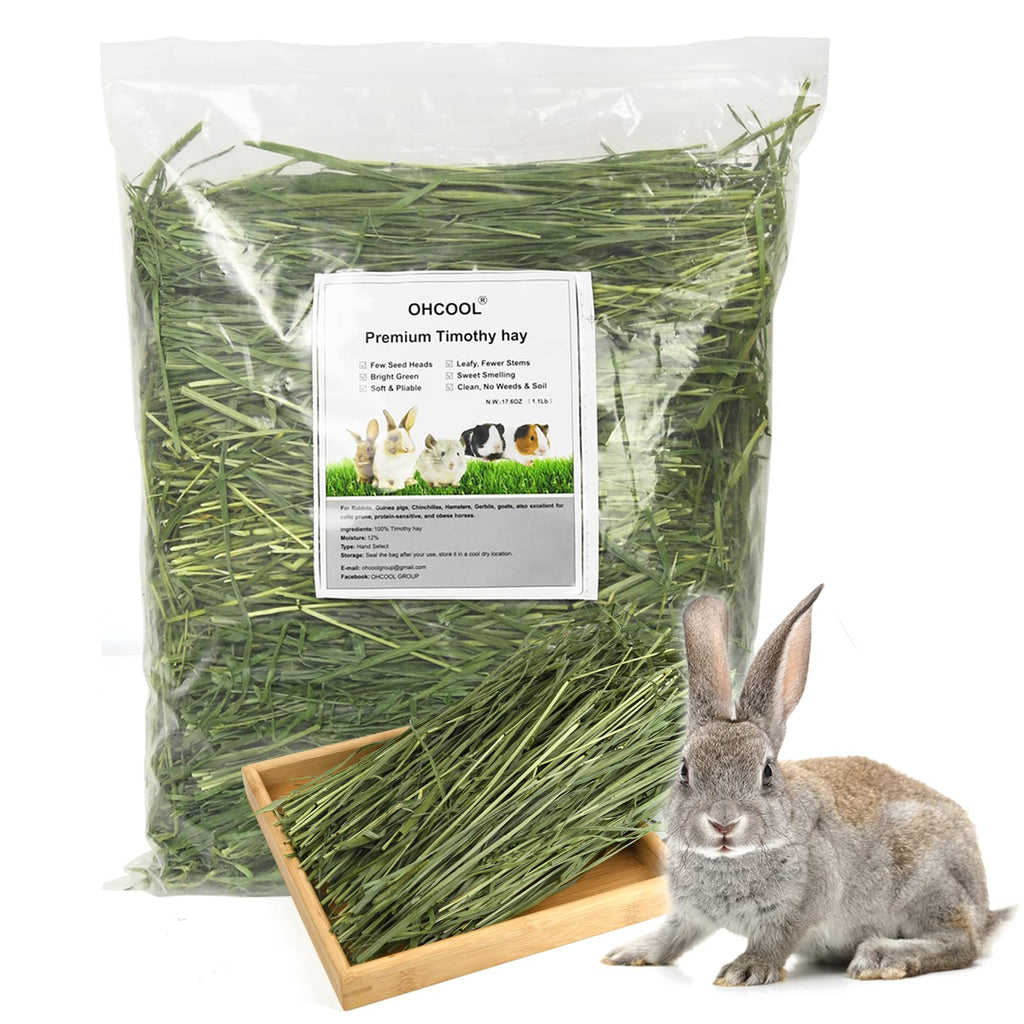 Timothy Hay 1.1LB - Dust Free Natural Green Fresh Food Hay for Rabbits Tortoise Guinea Pig Chinchilla