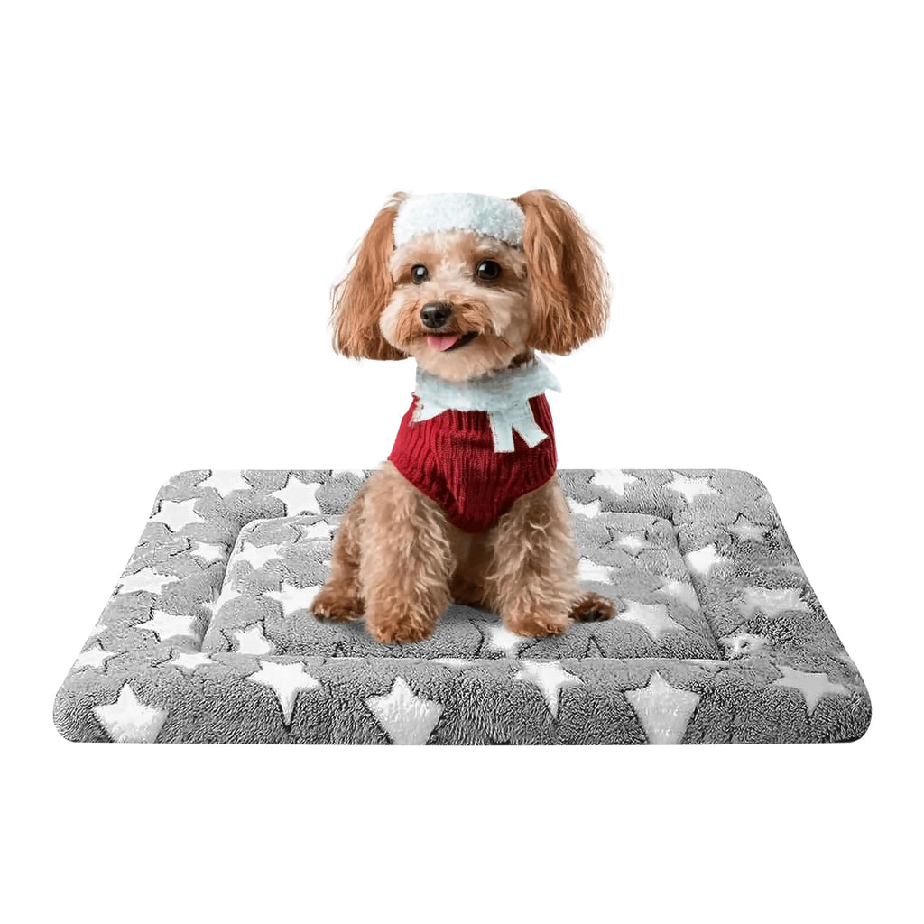 Dog Bed Mat, Reversible Crate Pad & Cute Dog Bed - Machine Washable Kennel Mat with Ultra Soft for Small Dogs (Cool/Warm), 24" x 18", Grey&Star