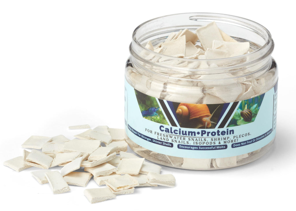 Calcium + Protein, for Strong Shells, Healthy Molts, 100% Natural, Does Not Dissolve in Water, Fast Sinking for Aquatic Shrimp, Snails, Plecos and
